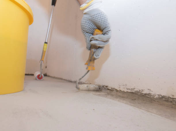 Emergency Pest Control Services in Cloquet, MN